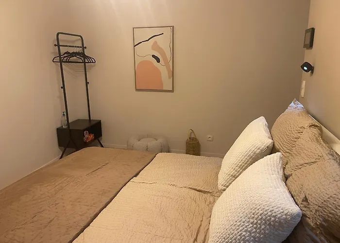 Chambre Cosy Centre Ville Avec Terrasse - Reserver Femmes